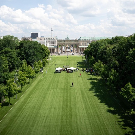 Zelte stehen während einer Pressekonferenz zu den Fanzonen bei der Fußball-Europameisterschaft 2024 rund um das Brandenburger Tor auf der mit Kunstrasen ausgelegten Fanmeile.