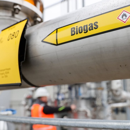 Ein Mitarbeiter nimmt eine Biogasanlage der VNG-Tochter BALANCE Erneuerbare Energien GmbH bei Gordemitz in Betrieb