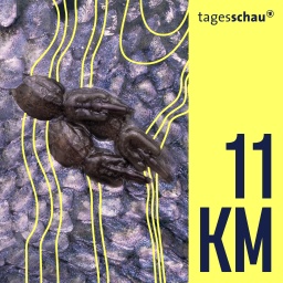 Seeläuse auf Lachs. 