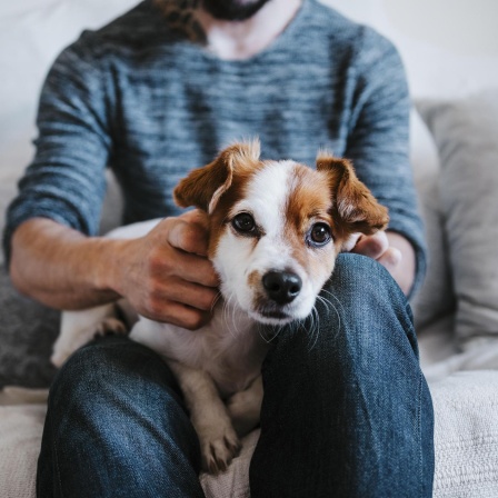 "Der Hund oder ich!" - Tiere in der Partnerschaft