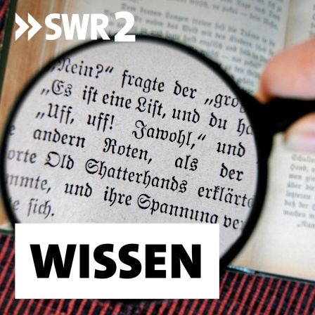 Sexismus bei James Bond, Rassismus bei Pippi Langstrumpf, kulturelle Aneignung bei Winnetou. Viele Klassiker lesen wir heute mit anderen Augen. Wie gehen Lektorinnen, Übersetzer und Wissenschaftlerinnen damit um? Und welche Rolle spielen &#034;Sensitivity Reader&#034;?