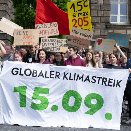 Globale Klimaproteste