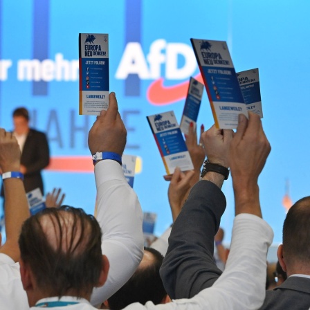 Abstimmung auf dem AfD-Parteitag in Magdeburg