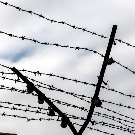 Zaun des Konzentrationslagers Mauthausen