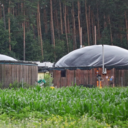Energie vom Acker - die Zukunft von Biogas in Bayern
