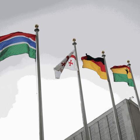 Flaggen UN