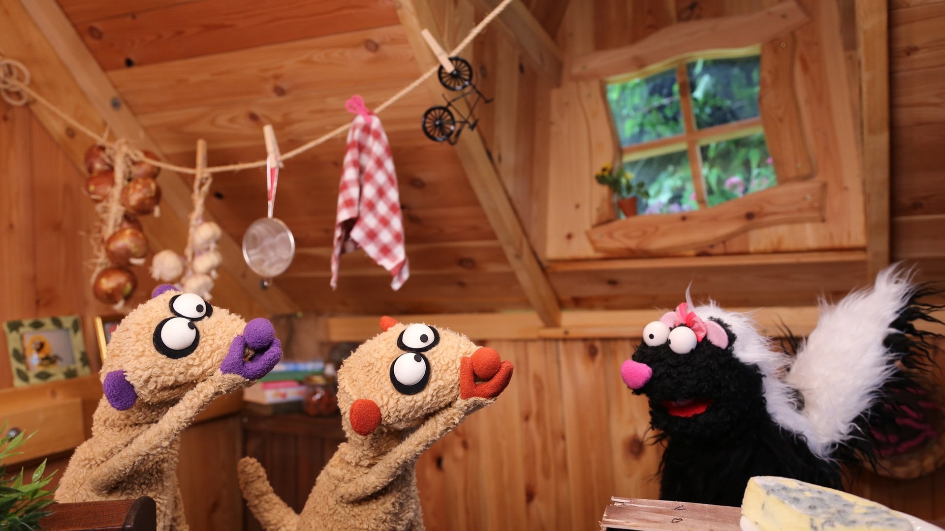 Ein Fall für die Erdmännchen 30.