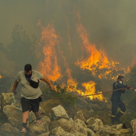 Ein Feuerwehrmann kämpft im Dorf Hasia in der Nähe von Athen gegen einen Waldbrand. 