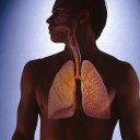 Tief durchatmen: Was unsere Lunge braucht