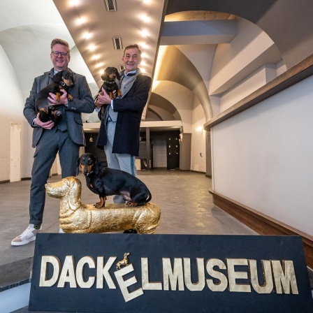 Seppi Küblbeck (r) und Oliver Storz stehen mit ihren drei Dackeln im Dackelmuseum. Archivfoto