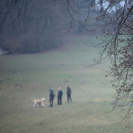 Blick von einem Hügel aus: Auf einer Wiese stehen drei Menschen mit einem Hund.