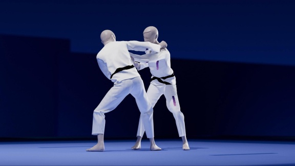 Sportschau - So Funktioniert Judo: Die Regeln