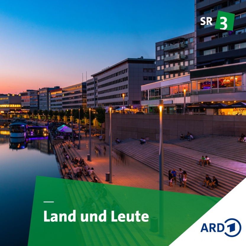 Cover: Vernarbte Seelen
