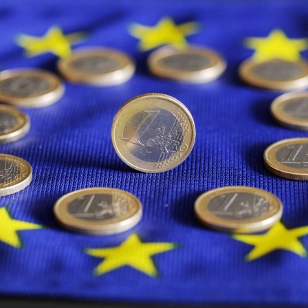 ILLUSTRATION - Auf einer Europafahne liegen Euro-Münzen.