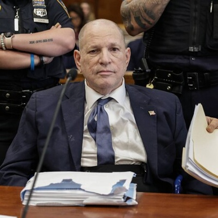 Der ehemalige Filmproduzent Harvey Weinstein erscheint zu einer Anhörung vor dem Strafgerichtshof in Manhattan, New York City. Er sitzt an einem Tisch, vor ihm liegen ein Stapel Unterlagen, er hält Akten in der Hand. Im Hintergrund stehen zwei Polizisten mit tätowierten Unterarmen.