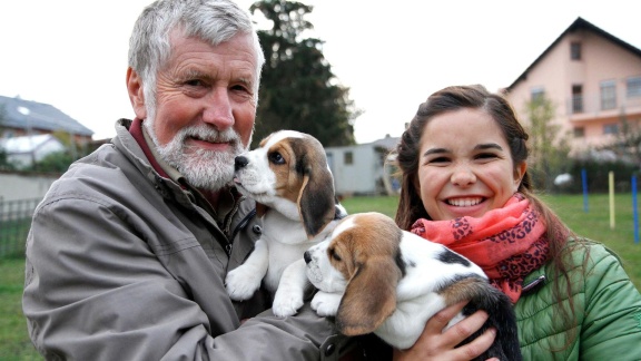 Anna, Pia Und Die Haustiere - Beagle