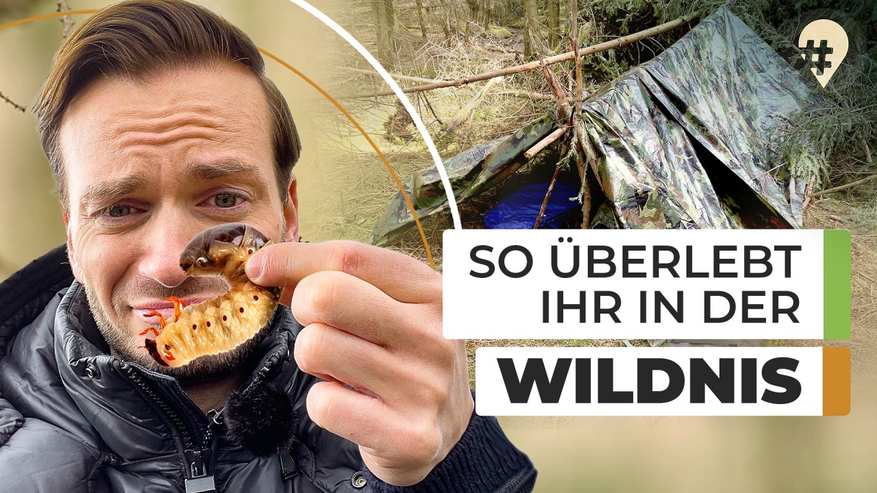 Survival-Challenge im Harz – 24 Stunden im Wald