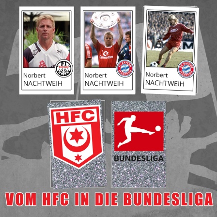 Die Collage zeigt das Logo des Halleschen FC, der Bundesliga und drei Mal Norbert Nachtweih in den Trikots von Eintracht Frankfurt und Bayern München.