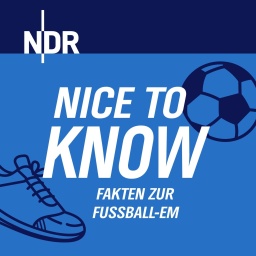 Podcast-Titelbild "Nice to know"