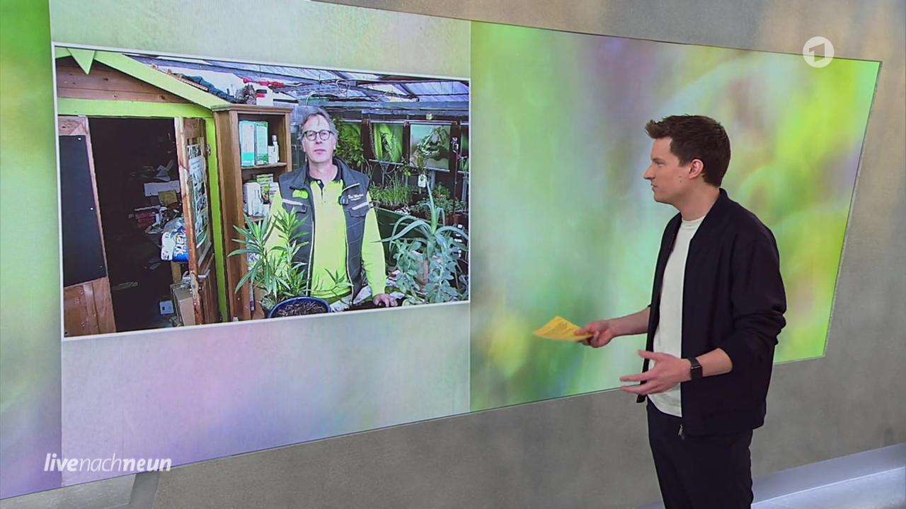 Live nach Neun Wie schütze ich meinen Garten vor Hitze? Tipps vom Experten ARD Mediathek