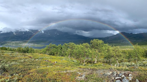 Erlebnis Erde - Schweden – Ruf Der Wildnis