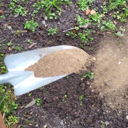 Eine Schaufel mit organischem Dünger in einem Beet