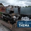 Leid, Waffen und die Energiefrage – 3 Monate Ukraine-Krieg