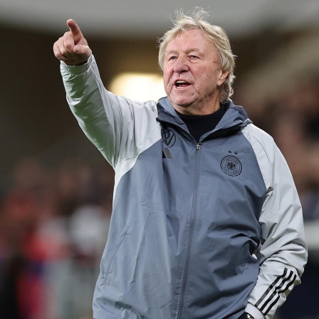 Bundestrainer Horst Hrubesch beim Spiel gegen Wales