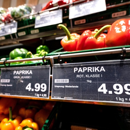 Preisschilder von Paprikas hängen an der Obsttheke in einem Supermarkt