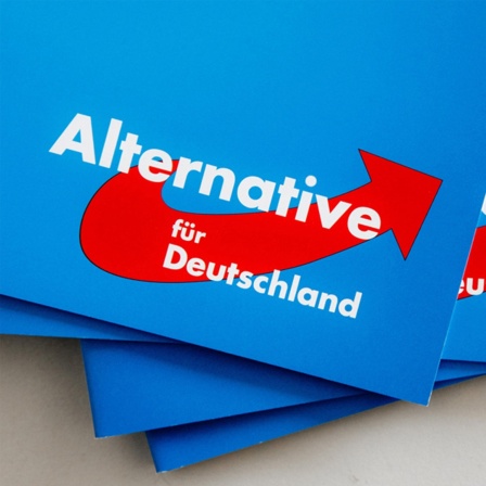 Das Logo der Alternative für Deutschland ist auf einer Parteibroschüre zu sehen.