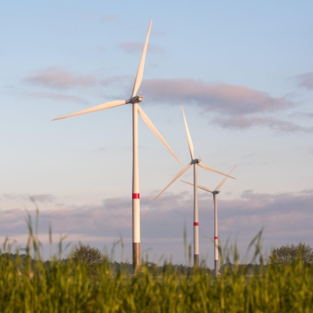 Wind-an-Land-Gesetz in Kraft: Wie Bayern das Ziel erreichen will
