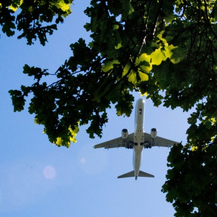 Ein Passagierflugzeug im Anflug auf den Flughafen Hannover fliegt über ein Rapsfeld hinweg.