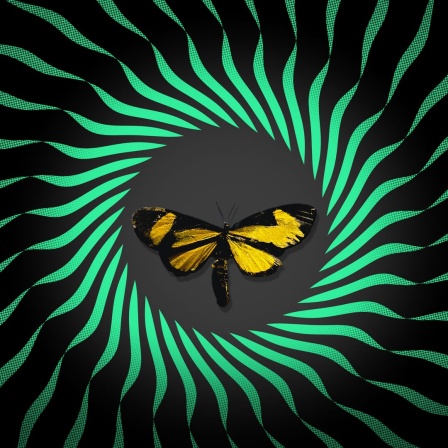 Schmetterlingseffekt - das Logo des Deutschlandfunk-Podcasts zeigt einen gezeichneten Schmetterling in einem Kreis, der einer Sonne ähnelt, der Kreis ist grün eingefärbt