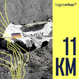 Trümmer der Germanwings-Maschine A320-211 liegen an der Absturzstelle in der Nähe von Le Vernet in den französischen Alpen.