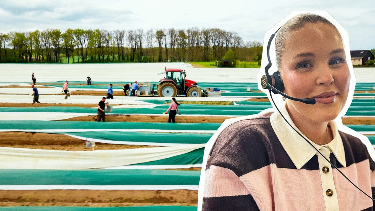 Lokalzeit Land.Schafft.: Spargelernte unter Druck