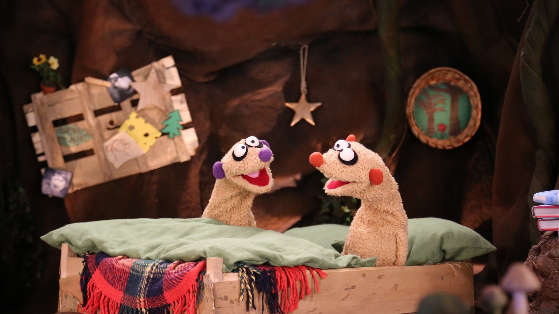 Ein Fall für die Erdmännchen 33.