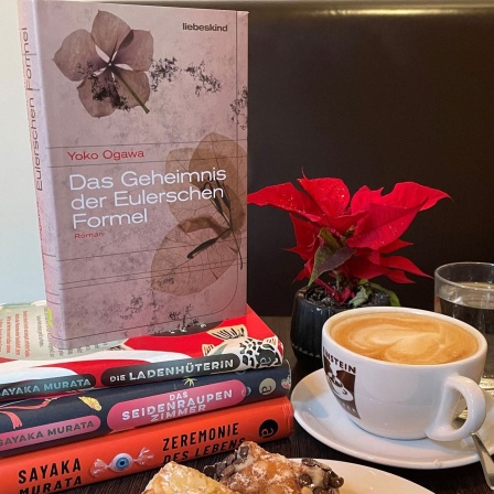 Yoko Ogawa - Das Geheimnis der Eulerschen Formel