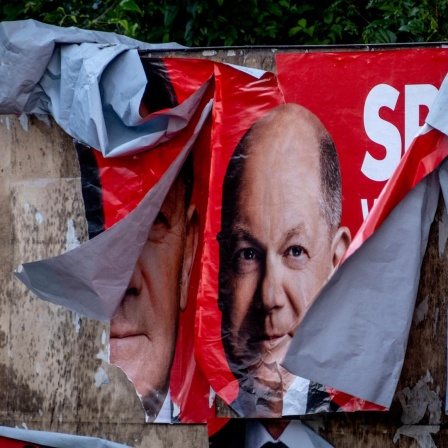 Beschädigte SPD-Wahlplakate mit dem Gesicht von Olaf Scholz.