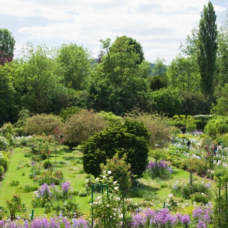 Ein blühender Garten in der französischen Normandie.