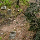 Gefällte Bäume und aufgeschichtete Stämme im Gebiet Turnicki der Ostkarpaten. Polnische Waldschutz-Aktivisten verlangen, den Holzeinschlag hier zu stoppen und ein Naturschutzgebiet einzurichten. 