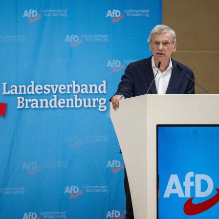 AfD-Spitzenkandidat für die Landtagswahlen in Brandenburg, Hans Bernd, am Rednerpult