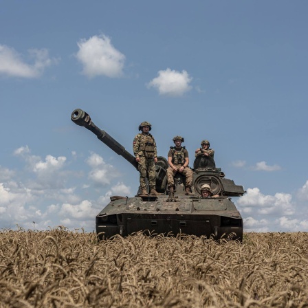 Ukrainische Soldaten posieren auf einem Panzer inmitten eines Getreidefeldes.