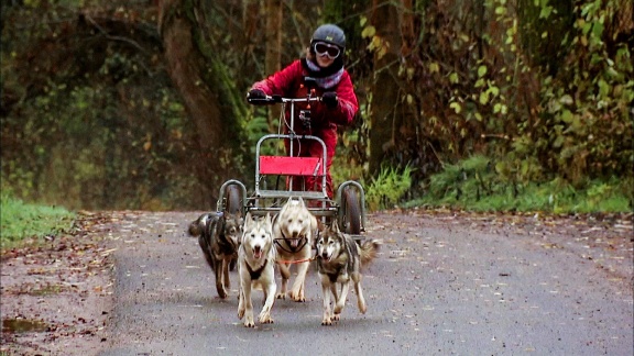 Helden Auf Vier Pfoten (4) Das Große Rennen Der Schlittenhunde