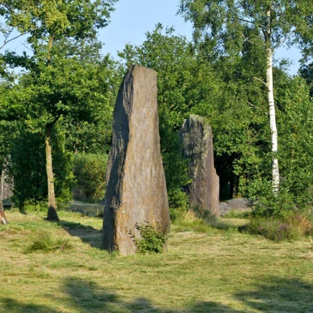 Die Megalithen von Monteneuf sind im "Zauberwald" Brocéliande in der Bretagne - ein sagenumwobener Wald, in dem auch Merlins Grab liegt.
