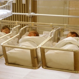 Drei Neugeborene liegen auf einer Säuglingsstation