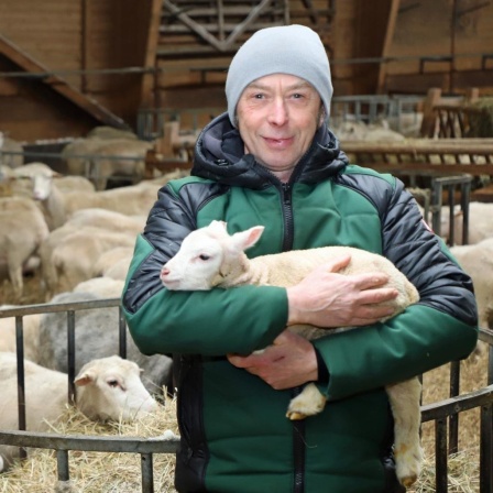 Schäfermeister Klaus Menke steht mit grauer Wollmütze und schwarz-grüner Daunenjacke im Schafstall und trägt ein Lamm auf seinen Armen.