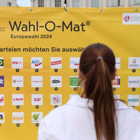 Eine Person steht vor einem analogen Wahl-O-Mat zum Aufkleben zur Europawahl 2024 beim Europafest auf dem Alten Markt in Potsdam.