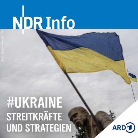 Die ukrainische Flaage weht auf einer Statue