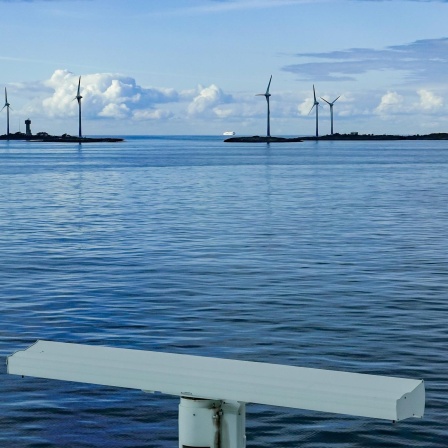 Mit Apps und Atomkraft - Finnlands Kampf gegen Klimawandel
