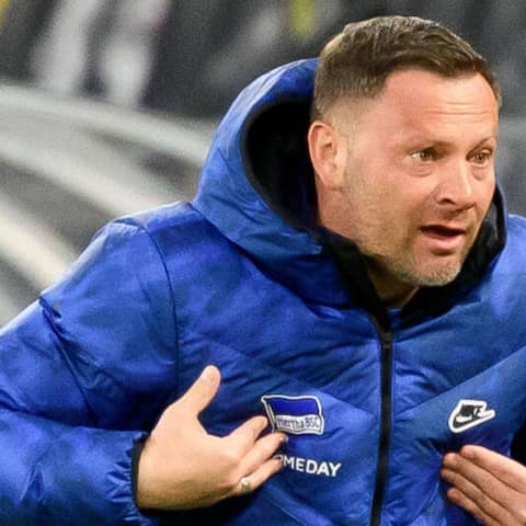 Hertha-Trainer Pal Dardai gestikuliert (Foto: imago images / Poolfoto)